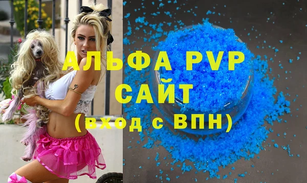 spice Аркадак