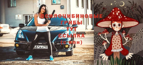 spice Аркадак