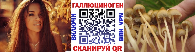 Псилоцибиновые грибы Magic Shrooms даркнет сайт Гремячинск